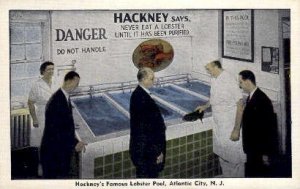 Hackneys Famous Lobster Pool - Atlantic City, New Jersey NJ Postcard