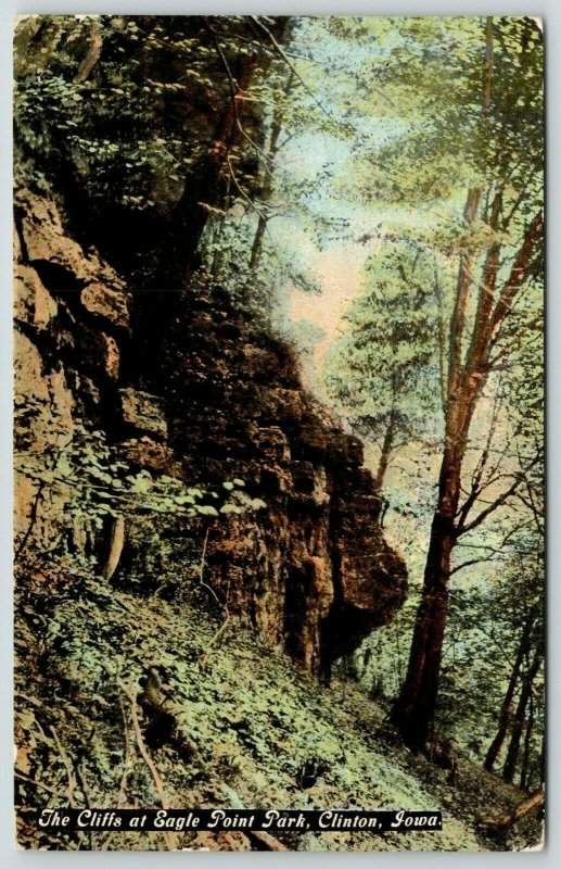 Clinton Iowa~Eagle Point Park Cliffs~Ledges Up Close~Trees & Vines~1910 Scenic 