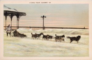 A Dog Team Quebec QC Que Dogs Sleigh Winter Transportation Unused Postcard H33