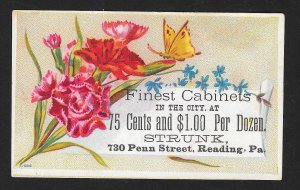 VICTORIAN TRADE CARD Strunk Finest Cabinets Flowers Butterfly