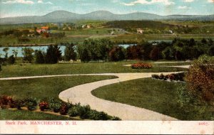 New Hampshire Manchester View Of Stark Park 1908