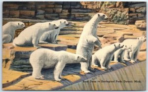Postcard - Bear Dens in Zoological Park - Detroit, Michigan