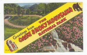 The Loop-Over, Laurel Falls, Great Smoky Mountains National 