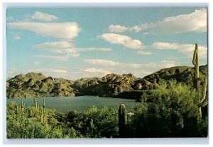 Vintage Saguaro Lake, California. Postcard 7XE