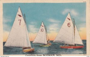 BOZMAN , Maryland , 1930-40s ; Sailboat Race