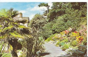 Devon Postcard - Madeira Walk - Exmouth    XX813