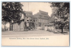 Gymnasium Building Michigan State Normal School Ypsilanti MI Rotograph Postcard 