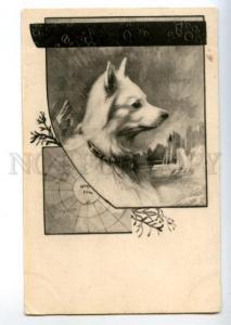 156460 NORD POL White SPITZ NORTH POLE Vintage PC