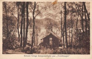 Troldhaugen Norway Composer Edvard Grieg's Cabin Vintage Postcard AA34757