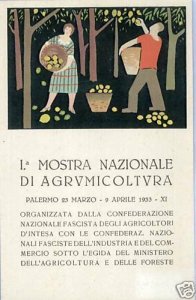 a0476  CARTOLINA PUBBLICITARIA - PALERMO: MOSTRA AGRUMICOLTURA