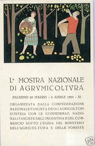 a0476  CARTOLINA PUBBLICITARIA - PALERMO: MOSTRA AGRUMICOLTURA