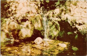 Santa Barbara CA Waterfall Botanic Gardens California Vintage Postcard H35