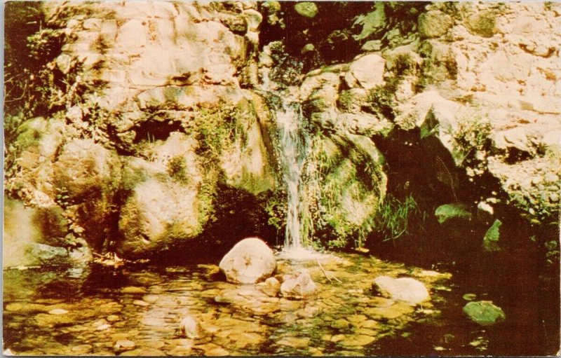 Santa Barbara CA Waterfall Botanic Gardens California Vintage Postcard H35 