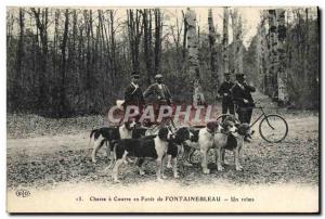 Old Postcard Hunting hounds in a Forest of Fontainebleau A Velo Cycle relay