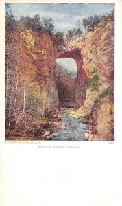 NATURAL BRIDGE VIRGINIA PMC POSTCARD (c. 1900)