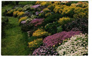 Rock Gardens, Botanical Gardens, Hamilton, Ontario, 1967