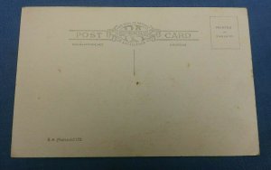 Vintage  Postcard  Worcester Cathedral And St. Andrews Church C1C