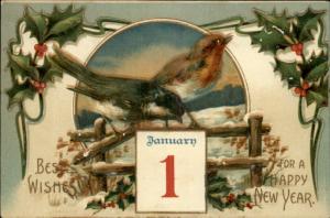 New Year Embossed Birds Fence c1910 Postcard