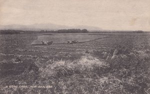 A Good Crop New Zealand WW1 Farming Postcard