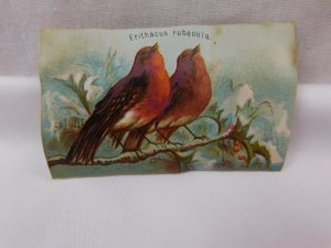 Lot Of 9 Victorian Scrap Trade Cards Wild Birds Goura Coronata Etc CA87