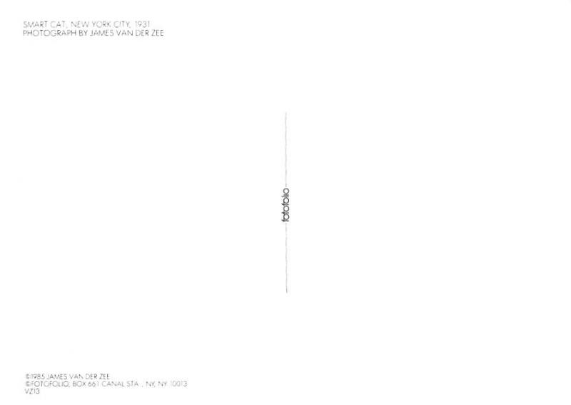 Smart Cat - New York City