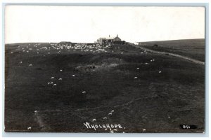 c1910's Sheep Countryside Cheviot Hills Whole Hope Scotland RPPC Photo Postcard