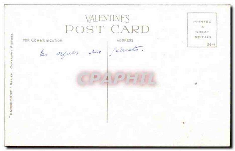 Ireland - Dunluce Castle - Giants Causeway - Giants Organ - Organ - Old Postcard
