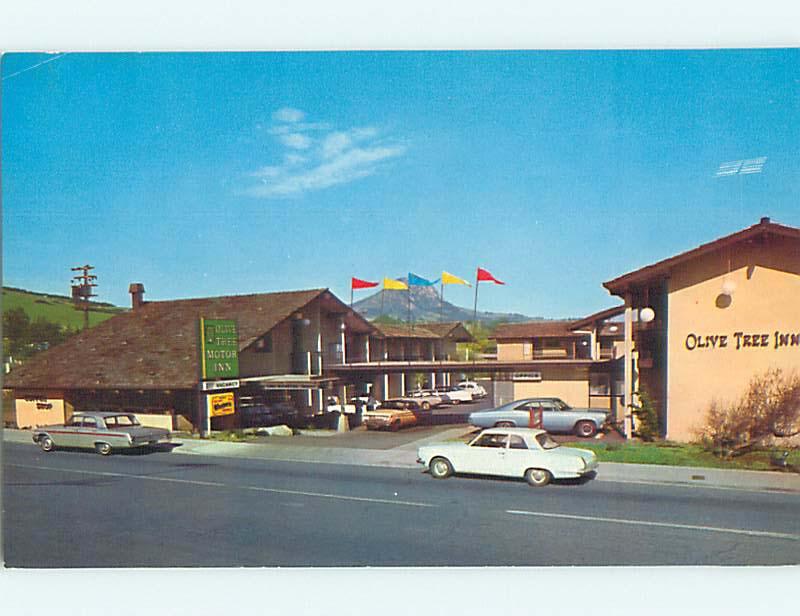 Unused Pre-1980 OLD CARS & OLIVE TREE INN MOTEL San Luis Obispo CA s2838