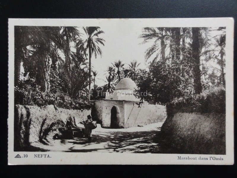 Africa: Tunisia  NEFTA / Nafta Marabout dans L'Oasis - Old Postcard