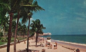 Vintage Postcard One Of The Many Broad Sandy Beaches Of Atlantic Miami Beach FL