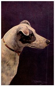 Dog , artist signed