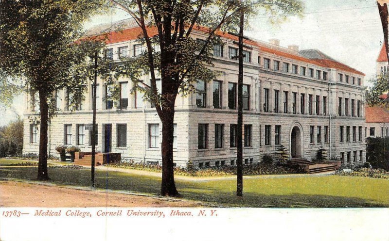 ITHACA, NY New York  MEDICAL COLLEGE~CORNELL UNIVERSITY  c1900's UDB Postcard