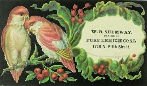 1876 W. B Shumway Dealer Pure Lehigh Coal Wild-Birds Cuddling Tree Berries P72