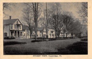 Cambridge Vermont Residences Street Scene Vintage Postcard JI657452