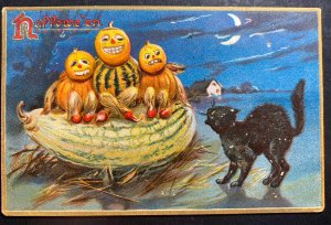 1908 Brooklyn NY Usa Picture Postcard Cover Halloween Black Cat