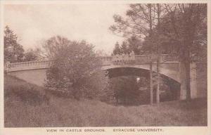 New York Syracuse View In Castle Grounds Syracuse University Albertype