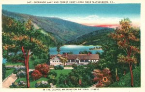 Vintage Postcard Sherando Lake & Forest Camp Lodge Near Waynesboro Virginia VA