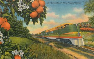 Postcard Florida tropical Steamliner train oranges Gulf Teich 23-5053