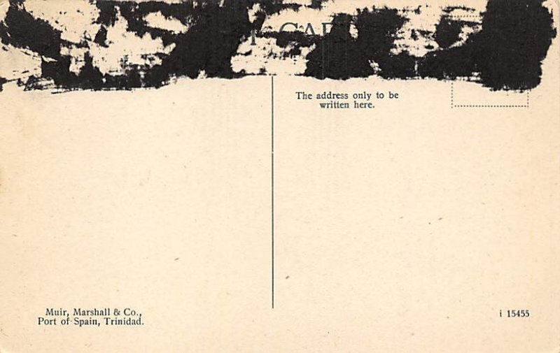 Rope Tree Trinidad Postcard