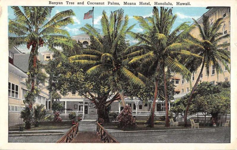 Honolulu Hawaii Moana Hotel Banyan Tree Antique Postcard K105585