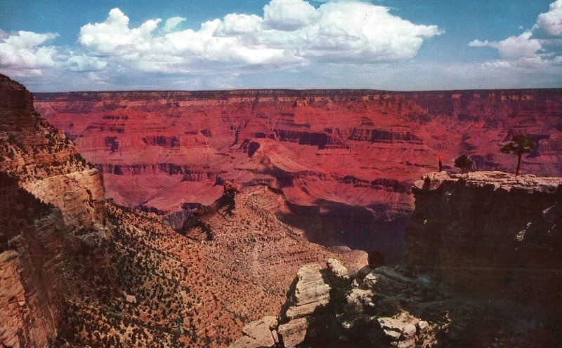 VINTAGE POSTCARD CROSS SECTIONAL VIEW OF THE GRAND CANYON ARIZONA