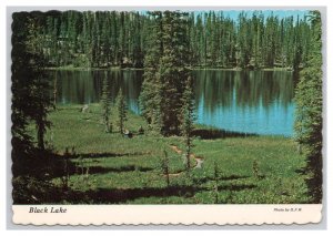 Postcard Black Lake Near Yellow Pine Idaho Continental View