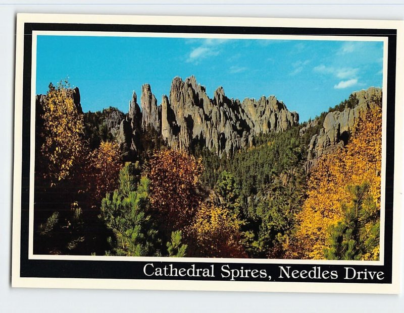 Postcard Cathedral Spires, Needles Drive, Black Hills, Custer, South Dakota