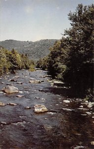 Trout Fishing, Allegheny Mountains, WV