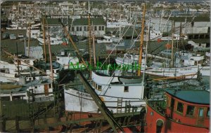 America Postcard - Port of Seattle, Fisherman's Terminal   RS25760