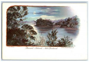 c1905 Scenic View Of Stewart Island New Zealand, Nature Scene Antique Postcard