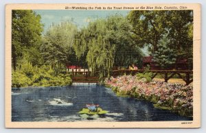 Watching the Fish, Trout Stream at Blue Hole Castalia Ohio, Linen Postcard  P1