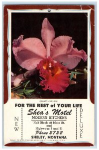 c1950's Modern Kitchen Shea's Motel Shelby Montana Flower Advertising Postcard