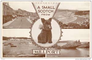 MILLPORT, Scotland, 1900-1910's; Stuart Street, Crocodile Rock, Looking West,...