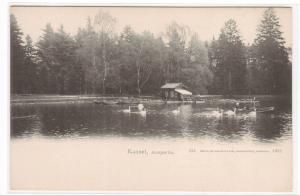 Auspartie Swans Lake Kassel Germany 1905c postcard